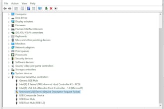 offer remote tech support to fix your windows PC problems