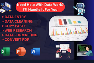 do excel data entry, cleanup, web research and formatting