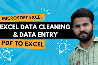 clean, format and visualize your excel data , PDF conversion