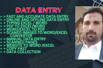 provide accurate data entry services  fast and reliable