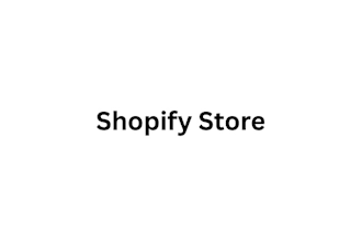 audit, review, and optimize your shopify dropshipping store