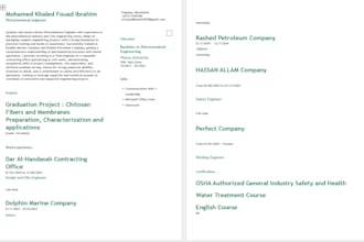 design an eye catching, professional, modern resume or CV
