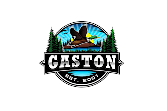 create awesome and gorgeous duck logo design