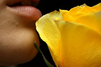 ghostwrite your erotic romance short stories and novels