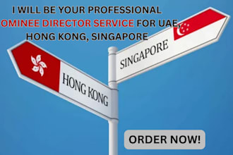 be your professional nominee director service for uae, hong kong, singapore