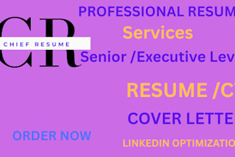 write your senior or executive CV, resume, cover letter