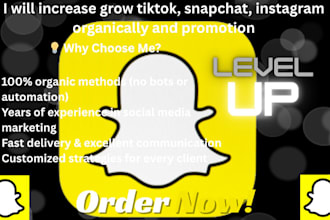 do viral snapchat shoutout promotion to real active audience