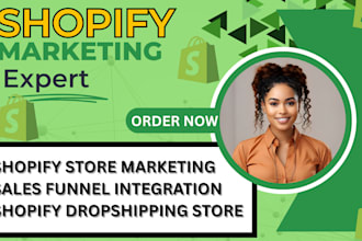 be your shopify expert store setup klaviyo email flow sales funnel dropshiping