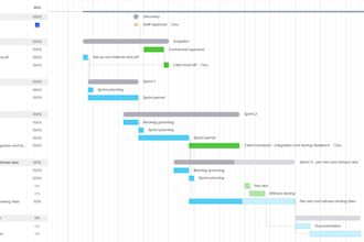 manage your digital and software projects, working with teams and stakeholders