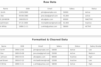 clean and accurate excel data entry and spreadsheet