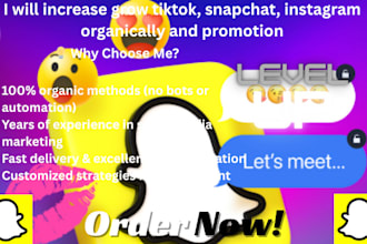 manage snapchat ads, promotion, marketing and increase your traffic