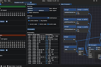 reverse engineer and decompile exe or ea file professionally