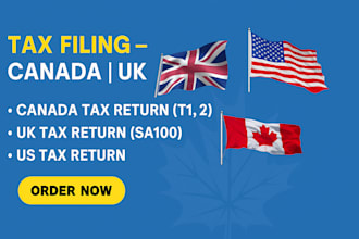 expert canada, USA and UK tax return filing t1, t2, llc, vat, bookkeeping