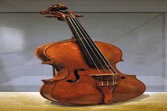 compose and produce western, country, blues, pop, rock, rnb and edm song
