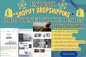 build passive income shopify high ticket website design dropshipping store setup