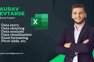 analyze, clean, format, merge, split excel data