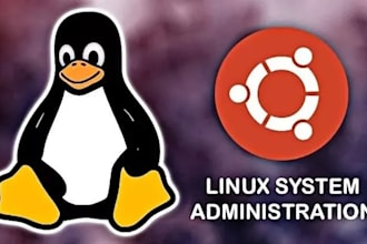 be you sys admin for code, network, security, turnkey