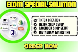 setup shopify tiktok shop facebook instagram ecommerce marketing dropshipping