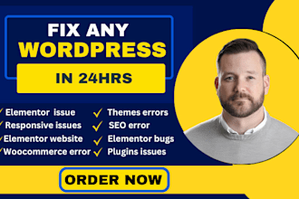 fix wordpress issues wordpress bug fix wordpress website fix wordpress errors
