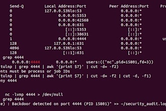 do security audit of your system and network