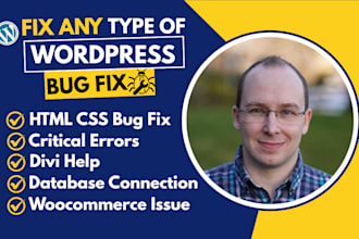 wordpress probleme beheben, kritische fehler, bug fix, woocommerce probleme