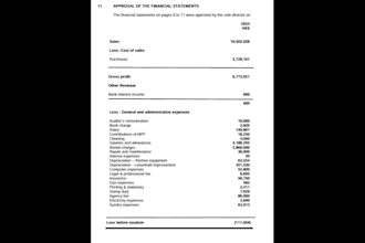 review and analyze your financial statements for accuracy and compliance