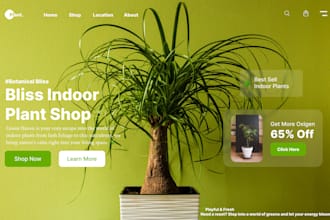 create creative figma designs for books and  businesses, restaurants