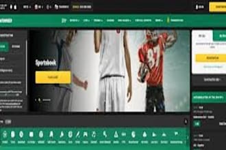 develop a sport bet website, fantasy website, poker website, crypto bet website