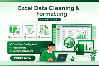 clean, format and organize your excel or google sheets data