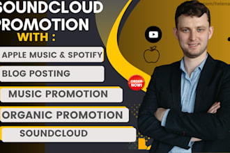 do promotion for soundcloud, apple music, spotify via blogs for organic growth