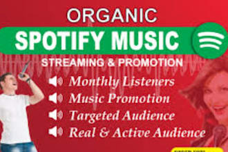 organic music promotion focused on the USA  audience