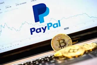 create and restore paypal,paypal suspension,stripe reinstate suspension,wise