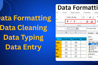 be your reliable data formatting specialist with timely delivery