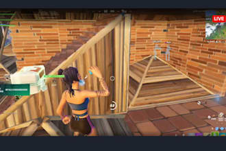 do twitch live stream and kick promotion to gain twitch live viewers