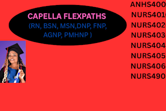 do rn bsn msn dnp capella flexpath nursing and capstone