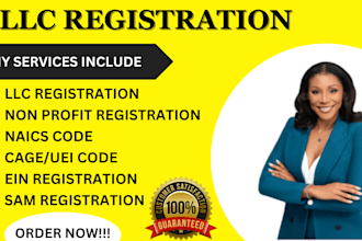 do llc registration, sam gov, nonprofit registration, naics code, uei, cage code