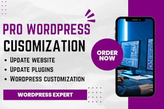 do theme changes, website update, duplicate wordpress, wordpress demo import