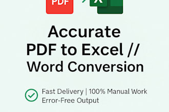 do accurate data entry, excel work, and PDF to excel convert