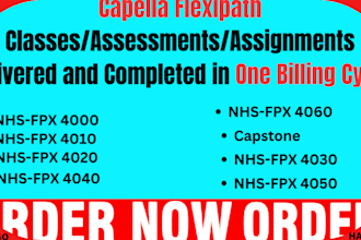 write, edit capella nursing, mental public health rn bsn msntasks