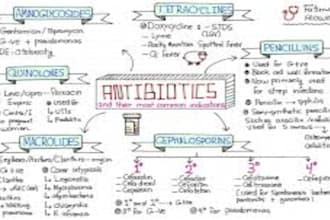 make medical study notes and presentations for medical students