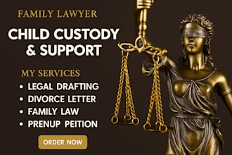 be family lawyer to draft divorce child custody parenting plan demand letter