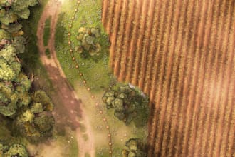 create a high quality battle map for your dnd game