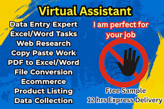 be your virtual assistant for data entry, web research, and data mining