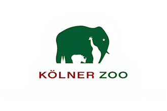 do minimalist elephant logo design with fast turnaround time