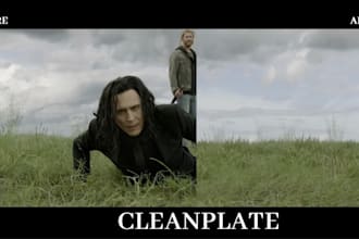 do professional vfx paint, wire removal, and clean plate cleanup