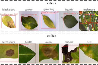 build ai models for image classification, face recognition and object detection