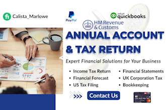 prepare USA tax returns, profit and loss, CPA comfort letter financial statement