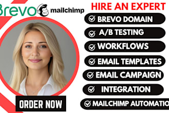 setup brevo newsletter brevo email marketing bravo automation beehiiv newsletter