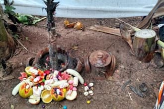 remove black magic , demonic forces , spirits parasite curse, evil eye spirits