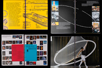 designed to impress flyers pamphlets and brochures